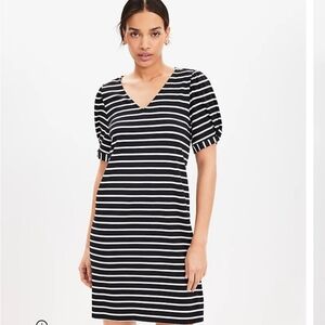 Loft Knit Swing Dress